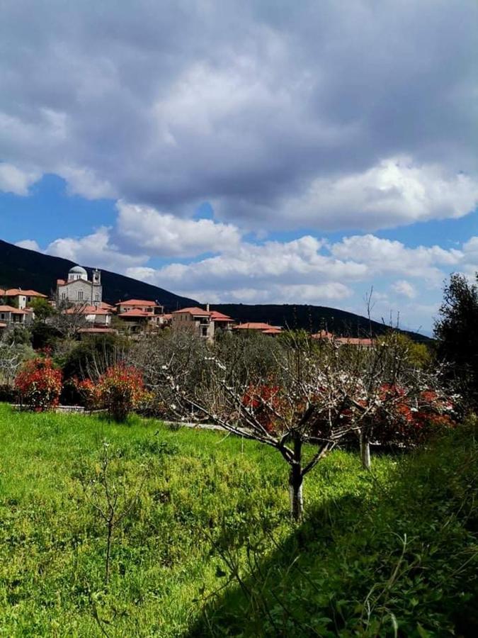 Sofias Cottage Ellinikón Dış mekan fotoğraf