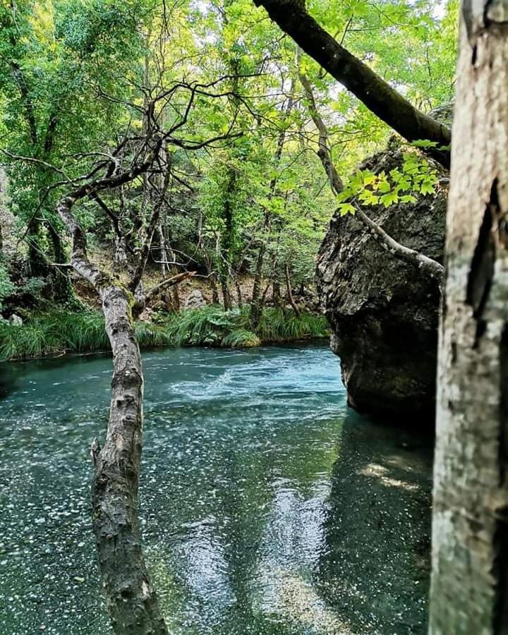 Sofias Cottage Ellinikón Dış mekan fotoğraf
