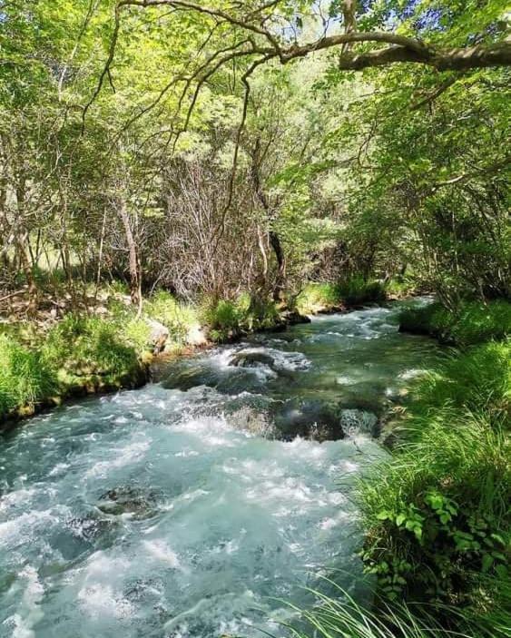 Sofias Cottage Ellinikón Dış mekan fotoğraf