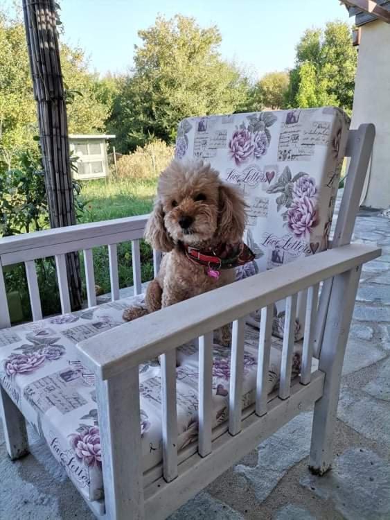 Sofias Cottage Ellinikón Dış mekan fotoğraf
