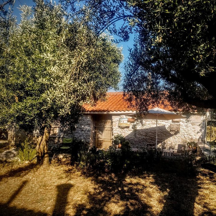 Sofias Cottage Ellinikón Dış mekan fotoğraf