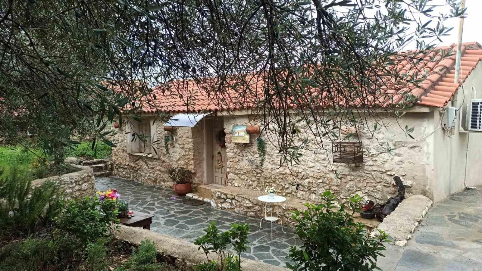 Sofias Cottage Ellinikón Dış mekan fotoğraf