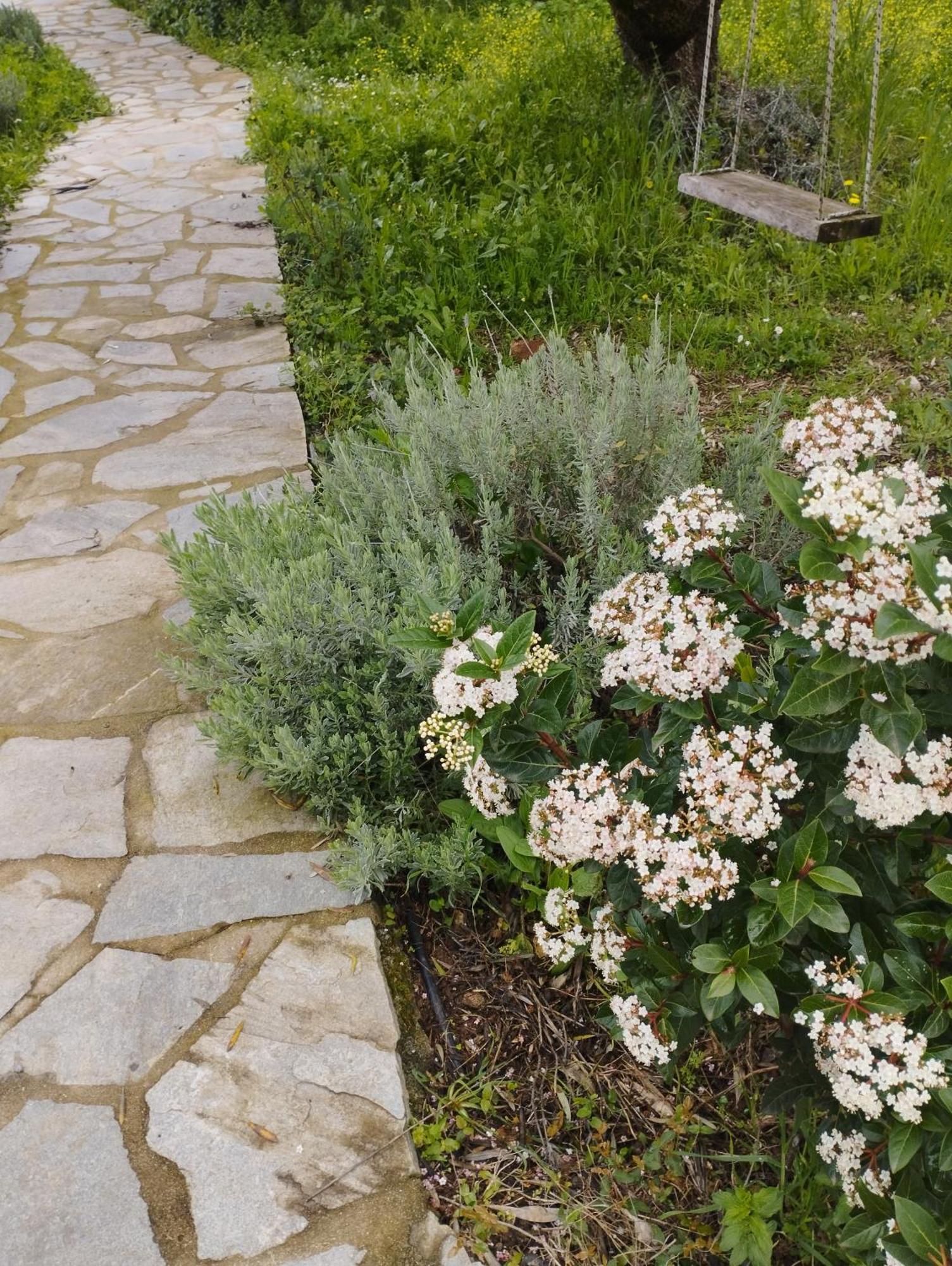 Sofias Cottage Ellinikón Dış mekan fotoğraf