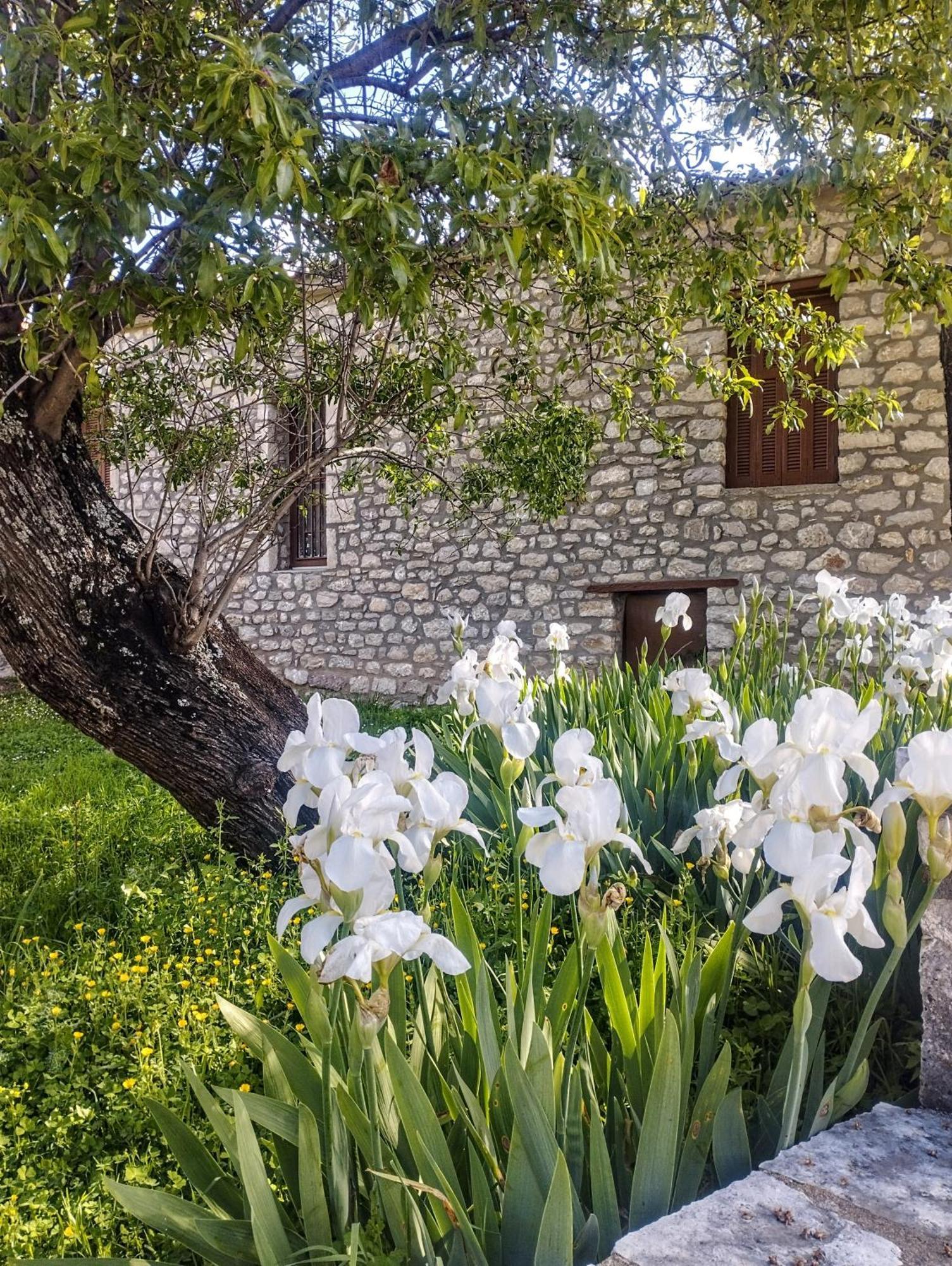 Sofias Cottage Ellinikón Dış mekan fotoğraf