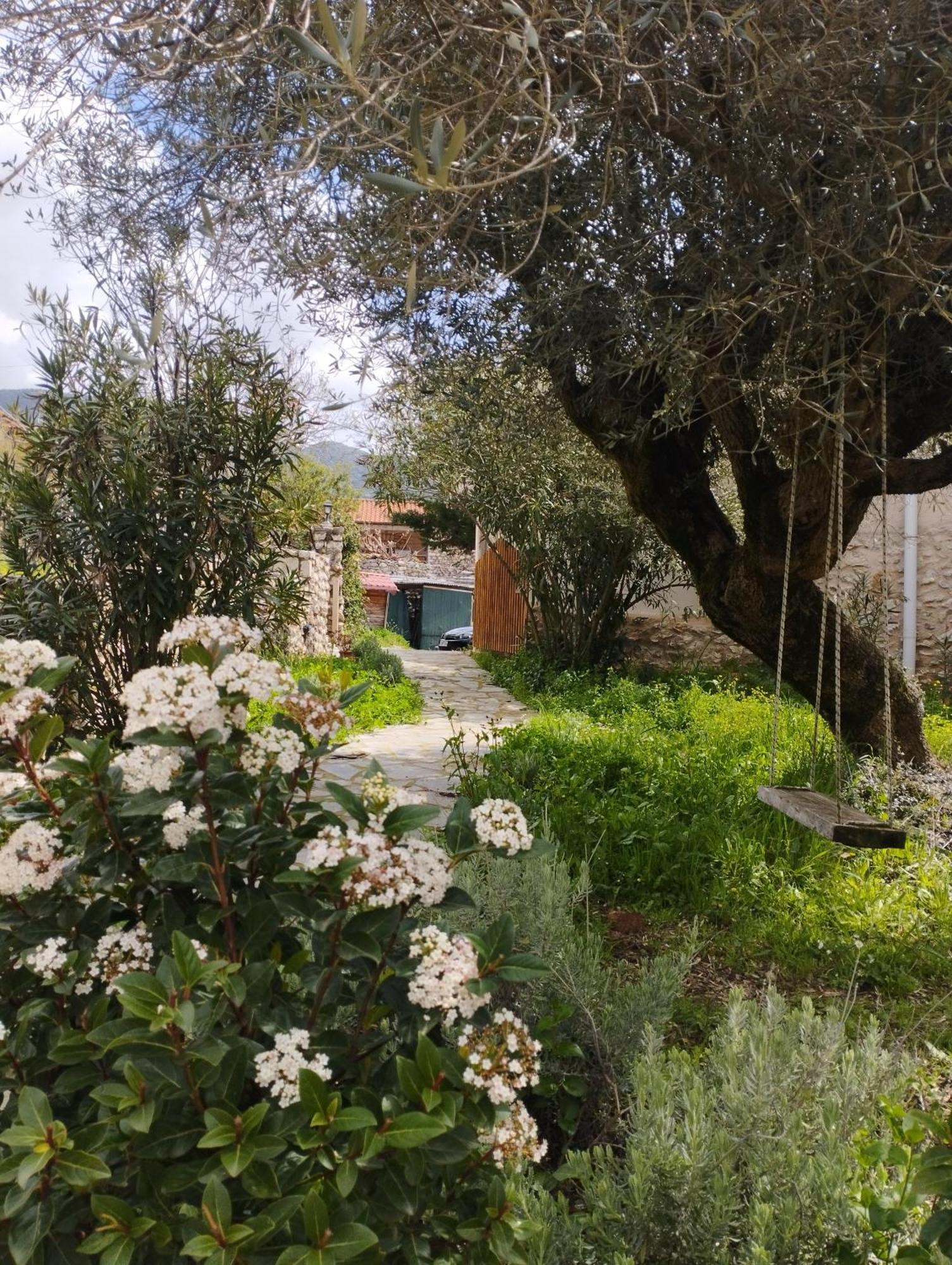 Sofias Cottage Ellinikón Dış mekan fotoğraf