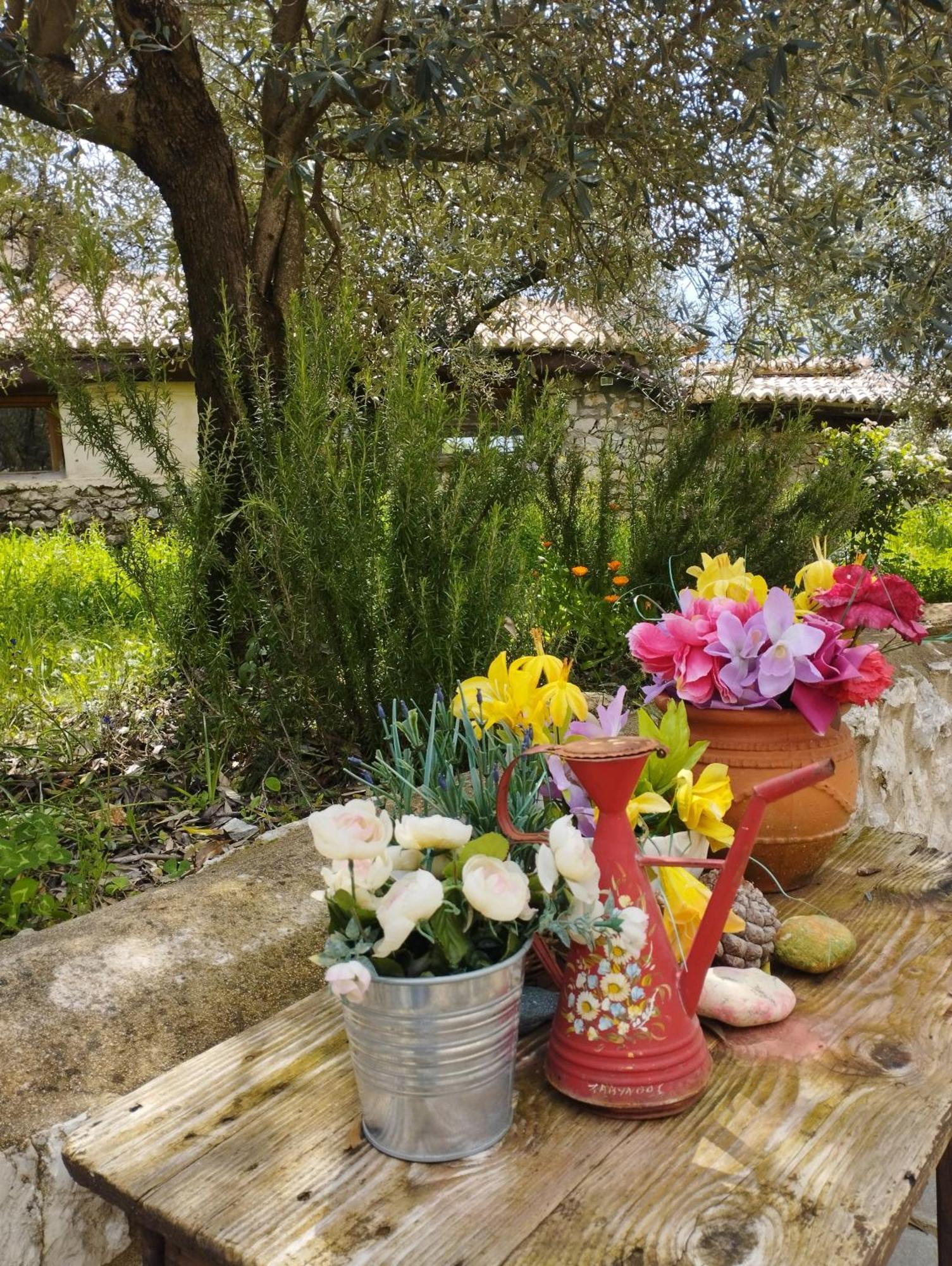 Sofias Cottage Ellinikón Dış mekan fotoğraf
