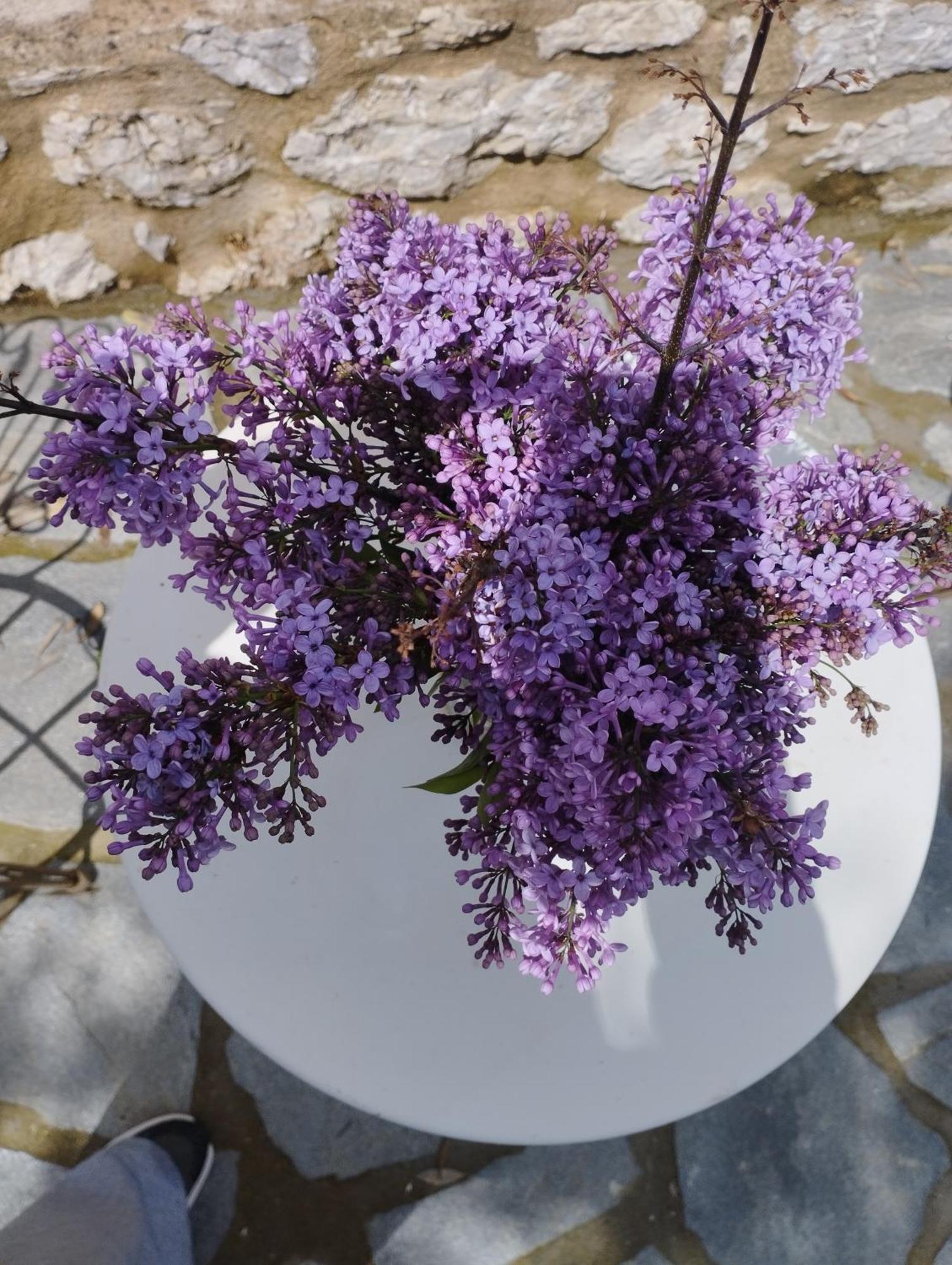 Sofias Cottage Ellinikón Dış mekan fotoğraf