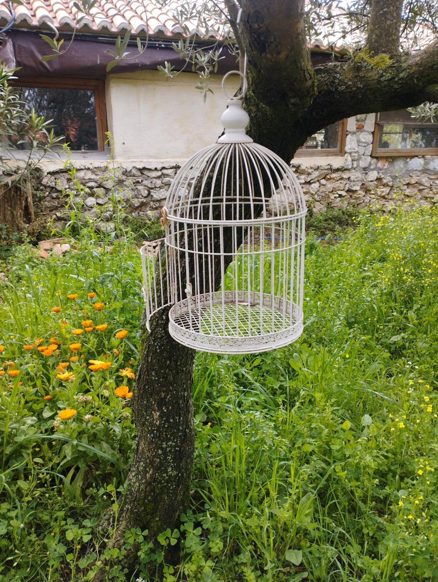 Sofias Cottage Ellinikón Dış mekan fotoğraf